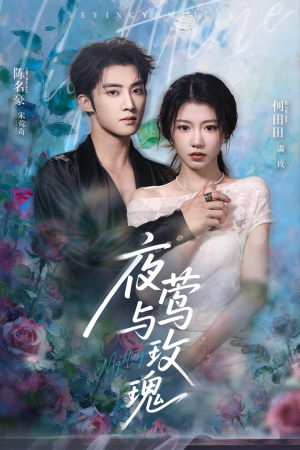 《夜莺与玫瑰》（66集）免费短剧全集畅享观看