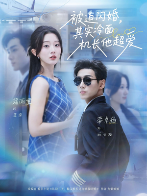 《被迫闪婚其实冷面机长他超爱》（77集）短剧免费在线全集追