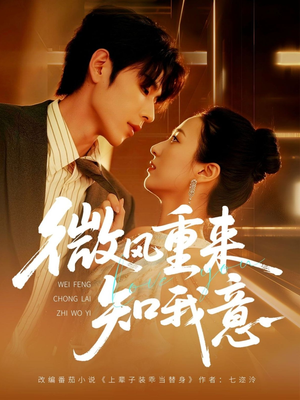 《微风重来知我意》（62集）免费短剧一集不落追