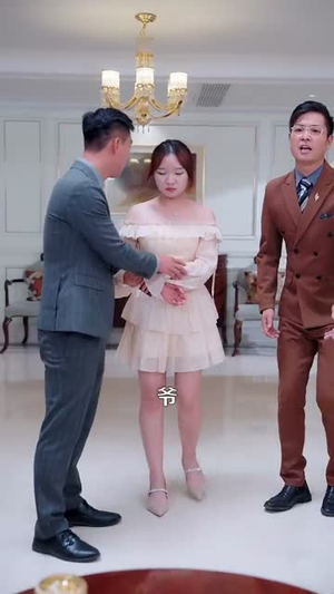 《都市一品傻婿》（96集）免费短剧畅享全集观影