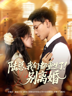 《陆总我们都重生了别离婚》（79集）免费看短剧全集不歇