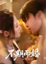 《不期而婚》（76集）短剧免费在线看个够