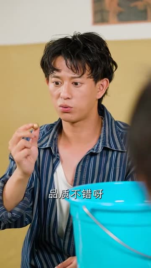 《开局金铲铲系统助我娶村花》（70集）短剧全集免费在线嗨看