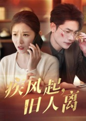 《疾风起旧人离》（32集）短剧在线看畅享追剧快乐
