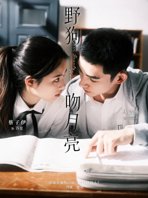 《野狗吻月亮》（68集）短剧在线看畅享不停