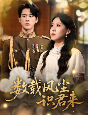 《数载风尘识君来》（62集）畅享短剧全集不花钱