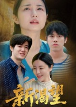 《新渴望》（30集）热门短剧免费畅看全集