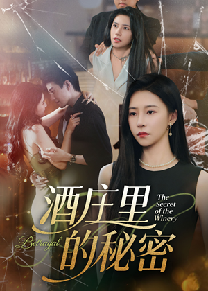《酒庄里的秘密》（54集）精彩短剧在线看个过瘾