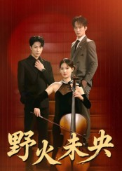 《野火未央》（40集）短剧精彩内容免费直看