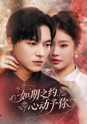 《如期之约心动予你》（82集）一口气追完热门短剧
