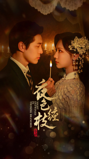 《夜色缠枝百度HE版本》（62集）在线畅看短剧完整版剧情