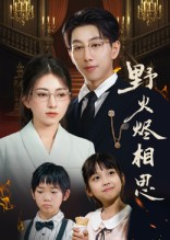 《野火烬相思》（61集）短剧在线追精彩不停