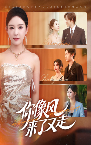 《你像风来了又走》（59集）短剧全集在线免费赏