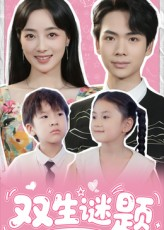 《双生谜题》（36集）精彩短剧在线追不停看