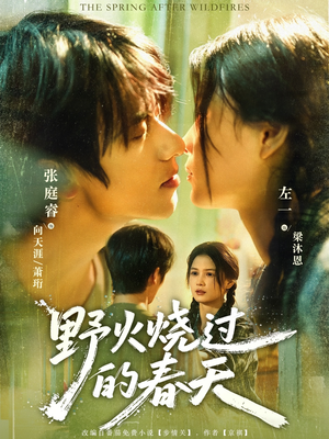 《野火烧过的春天》（85集）短剧全集在线免费看