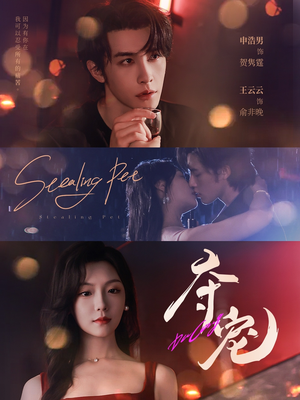 《夺宠》（88集）在线短剧免费追完整版