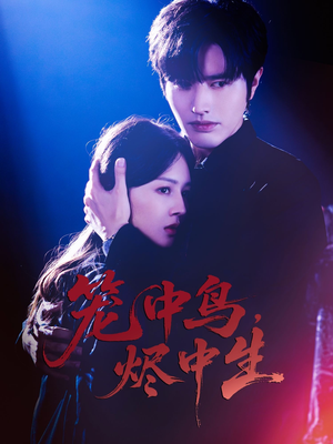 《笼中鸟，烬中生》（60集）短剧在线看全集好过瘾