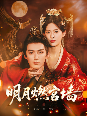 《明月燃宫墙》（60集）免费短剧全集畅快看