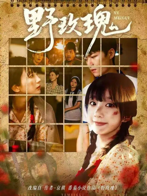 《野玫瑰》（82集）热门短剧全集追剧不停