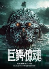 《巨鳄惊魂》（85集）精彩短剧一气看完超爽