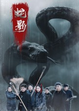 蛇影(25集) 蛇影(25集)第三季