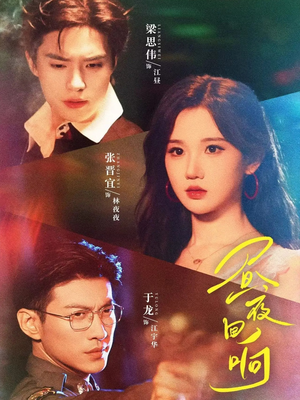 《昼夜回响》（76集）免费短剧精彩全追完