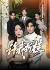 《许我折桂》（70集）短剧免费全集畅快赏