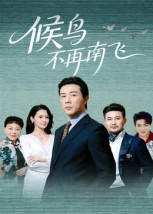 《候鸟不再南飞》（80集）爆款短剧在线一看到底