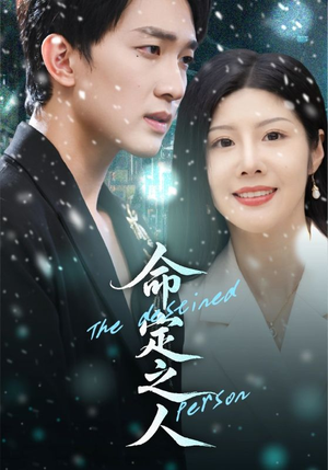 《命定之人》（56集）热门短剧在线免费追看