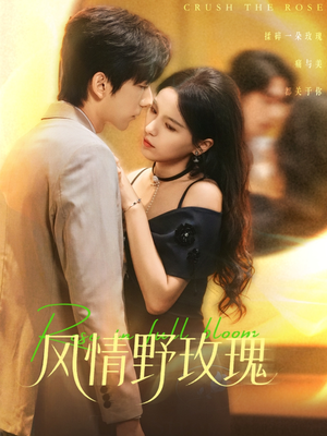 《风情野玫瑰》（70集）短剧70集精彩全看遍