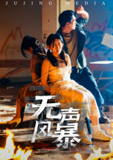 《无声风暴》（33集）短剧全集免费在线看爽