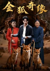 《金狐奇缘》（42集）免费短剧精彩一集不落