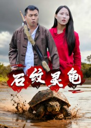 《石纹灵龟》（30集）免费短剧全集尽情观看