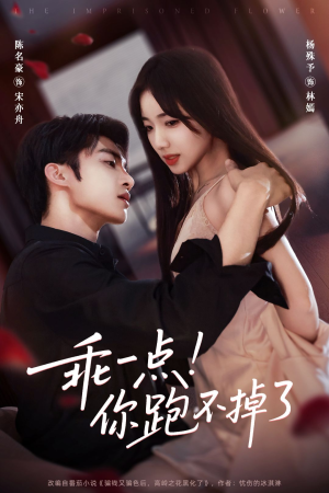 《乖一点！你跑不掉了》（80集）畅享短剧完整版观看