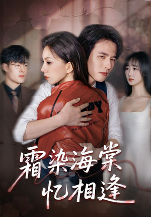 《霜染海棠忆相逢》（72集）免费看短剧全集过瘾