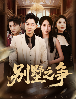 别墅之争(59集) 别墅之争(59集)经典老剧免费看