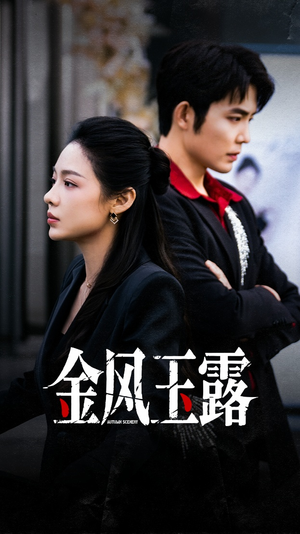 《金风玉露》（80集）短剧全集在线看超尽兴