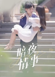 《暗夜情事》（100集）短剧精彩不停在线看