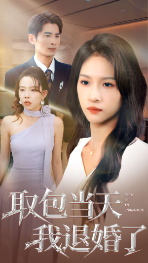 《取包当天我退婚了》（62集）免费短剧在线一次看个够