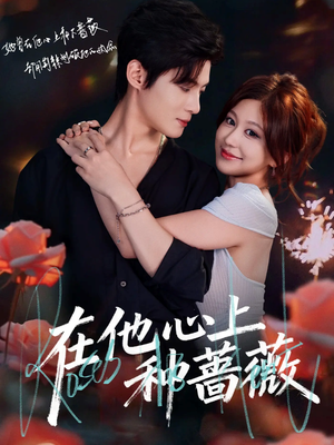 《在他心上种蔷薇》（81集）短剧全集免费在线追