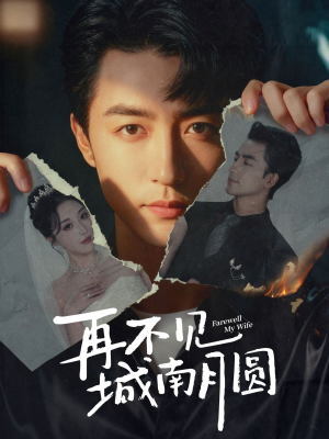 《再不见城南月圆》（60集）看短剧全集享受追剧时光