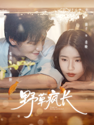《野草疯长》（71集）免费短剧全集一次看够