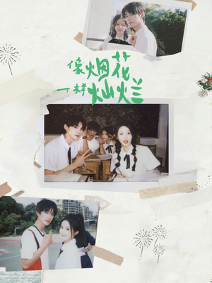 《像烟花一样灿烂》（60集）在线追短剧全集过瘾