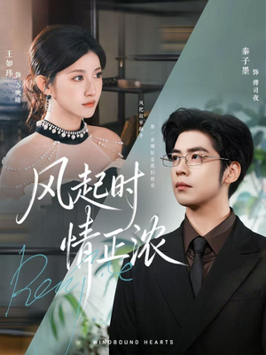 《风起时情正浓》（79集）免费短剧在线看个过瘾
