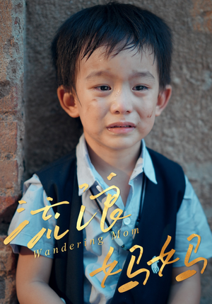 《流浪妈妈》（30集）短剧免费全集畅快追