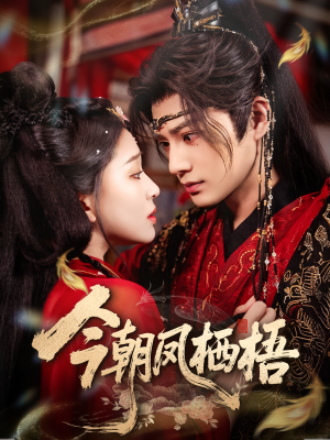 《今朝凤栖梧》（68集）短剧完整版免费在线追剧