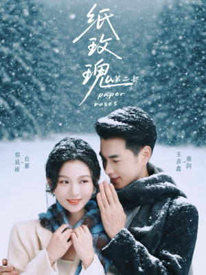 《纸玫瑰第二部》（80集）在线短剧全集精彩速览
