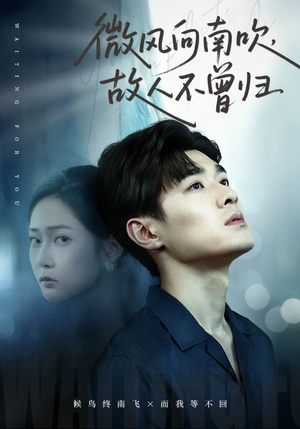 《微风向南吹，故人不曾归》（72集）看短剧精彩剧情不断