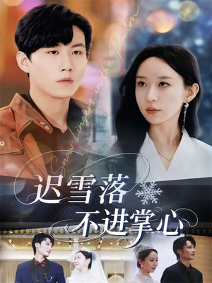 《迟雪落不进掌心》（79集）免费短剧全集随心看