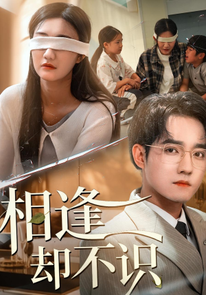 《相逢却不识》（77集）短剧好剧连看全程过瘾